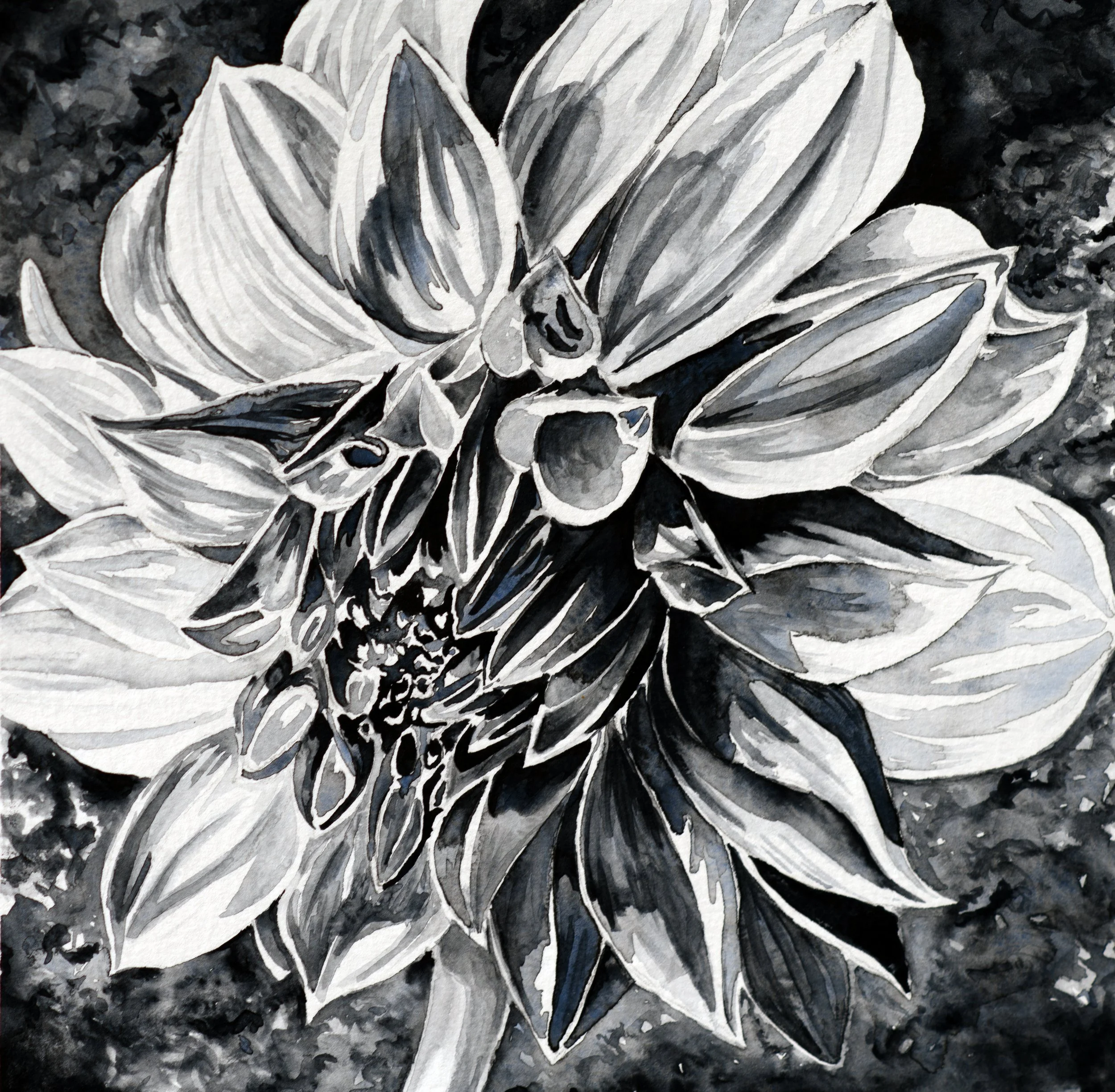 Jeff's Iris - Limited Edition Prints — Kyr Creates | Watercolors